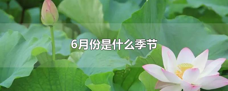 6月份是什么季节(6月份是什么季节穿啥衣服?)