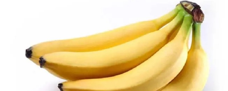 现在吃的黄色香蕉是怎么来的